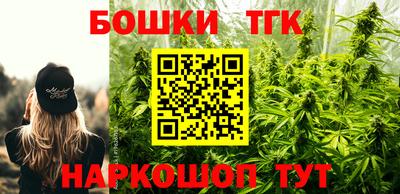 прущие грибы Пушкино