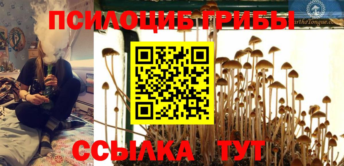 Галлюциногенные грибы Psilocybe  как найти закладки  Псилоцибиновые грибы мицелий  Полевской  Вход с VPN 