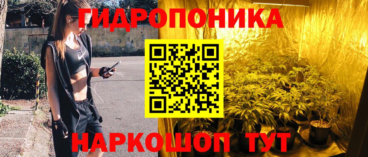 Полевской  Шишки марихуана OG Kush  Вход с VPN  МАРИХУАНА LSD WEED  Канабис White Widow 